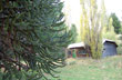 Casa en Quillén - Photo: Eduardo Epifanio Casa en Quillén - Photo: Eduardo Epifanio