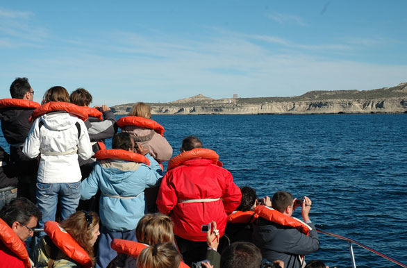 Temporada de avistajes - Ballenas en Patagonia