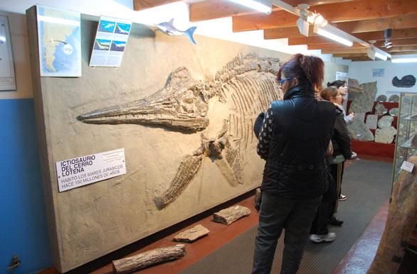 El Museo Paleontolgico - San Carlos de Bariloche