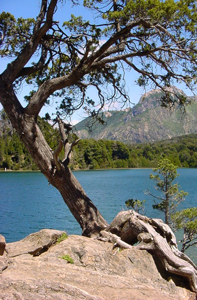 Lago Gutirrez - San Carlos de Bariloche