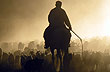 Siluetas de la veranada - Foto: Pablo Etchevers Siluetas de la veranada - Foto: Pablo Etchevers