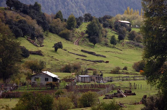 Buclico paisaje - Coyhaique