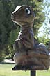 Dino-secto - Photo: Jorge Gonz�lez