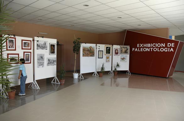 Interior Museo Carmen Funes - Cutral-C Plaza Huincul