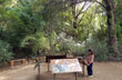 Parque Nacional Los Alerces - Photo: Karina Jozami Parque Nacional Los Alerces - Photo: Karina Jozami