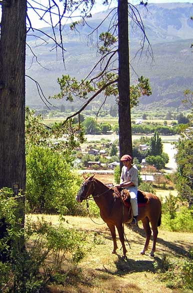 Cabalgatas por el bosque - El Bolsn