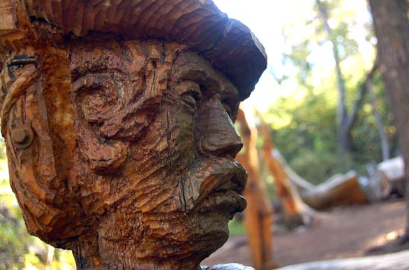 Escultura en El Bosque Tallado - El Bolsn