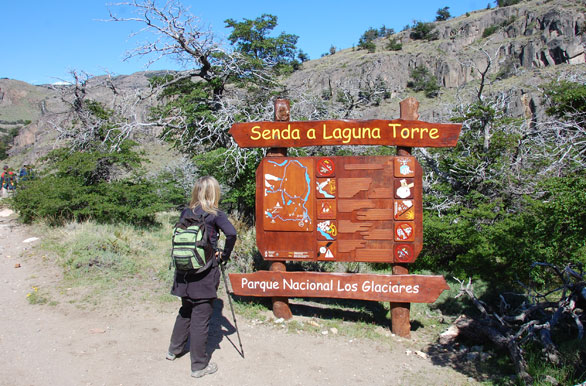Camino a la  Laguna Torre - El Chaltn