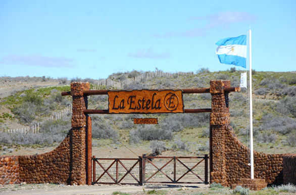 Estancia La Estela - El Chaltn