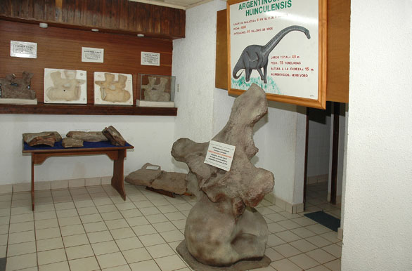 Museo Municipal; vrtebra de dinosaurio - Villa El Chocn