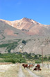 Paisaje cercano - Photo: Jorge Gonz�lez