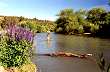 Pesca en el r�o Percey - Photo: Juan Castro