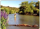 Pesca en el río Percey