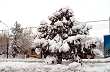 Invierno en Gregores - Foto: Luis Quezada - Direcci�n de Turismo de Gob. Gregores