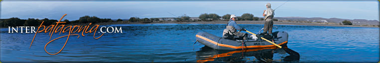 Inter Patagonia - Argentinian and Chilean Patagonia Guide