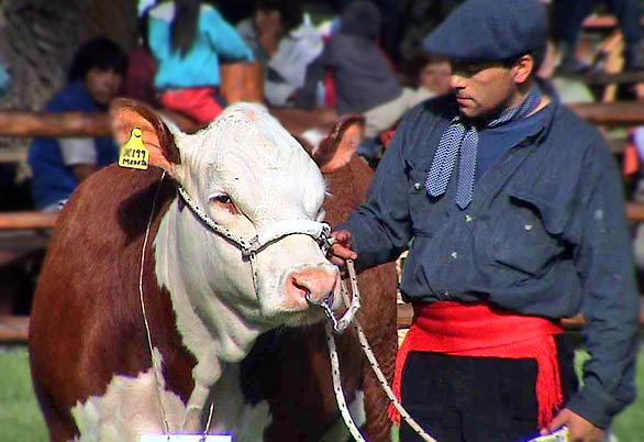 Feria Rural de Junn de los Andes - Junn de los Andes