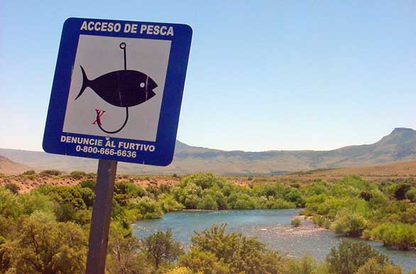 Zona de pesca con mosca - Junn de los Andes
