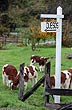 Cheese factory - Photo: Eduardo Epifanio Cheese factory - Photo: Eduardo Epifanio