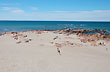 Playa Las Coloradas - Photo: Jorge Gonz�lez