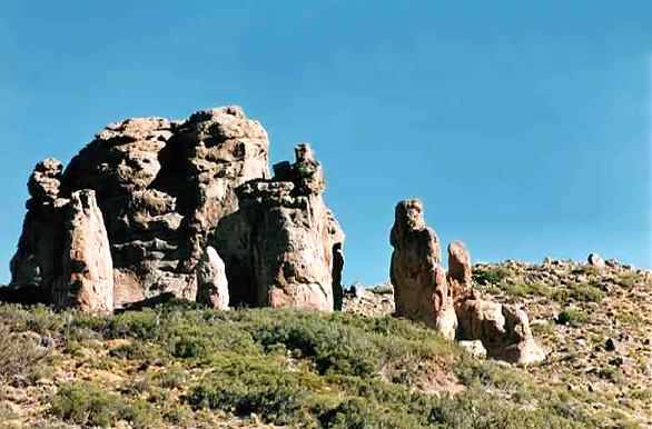 Toscas Bayas - Los Antiguos, 