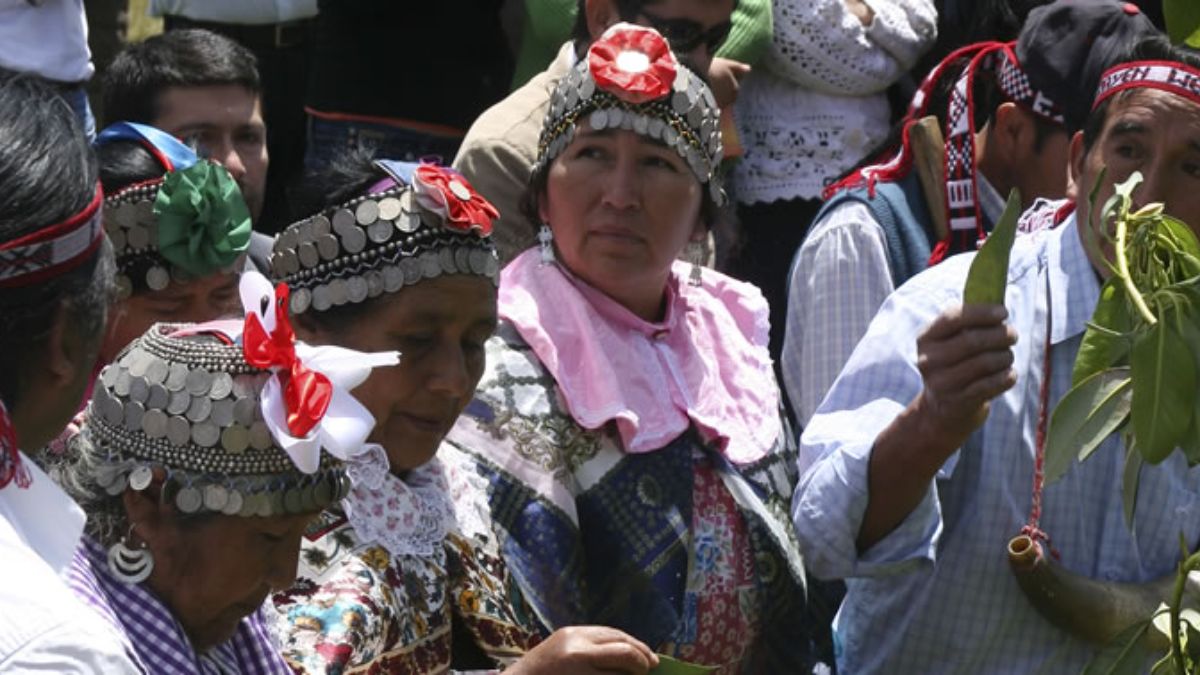 Cultura Mapuche