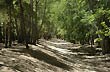 Camping Arroyito - Photo: Jorge Gonz�lez