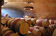 Barricas de la bodega Familia Schroeder - Photo: Jorge Gonz�lez