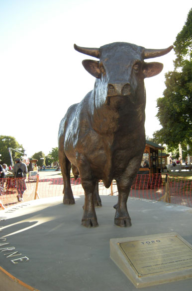 El toro en la plaza - Osorno