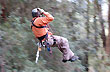 Canopy en Puyehue - Photo: Jorge Gonz�lez