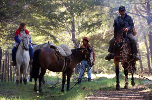 Horseriding at Palena - Alto Palena