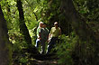 Sendero a los saltos de Huilo Huilo - Photo: Jorge Gonz�lez