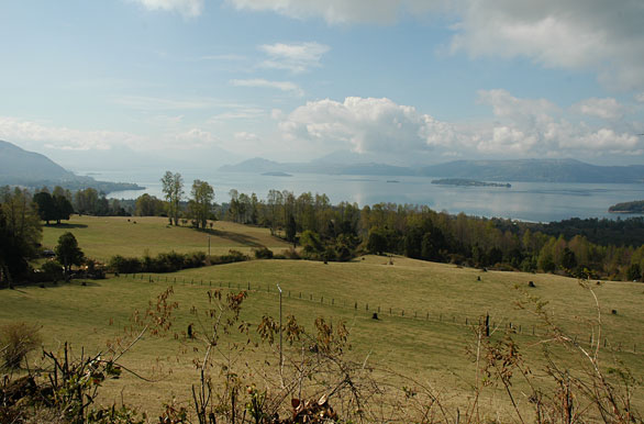 Campo y lago - Panguipulli