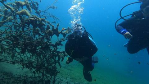 Diving in Lake Correntoso