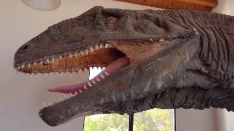 Sobre los dinosaurios en el museo de El Chocón