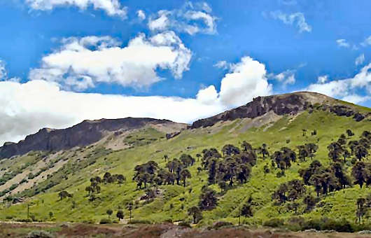 Excursiones en los Alrededores
