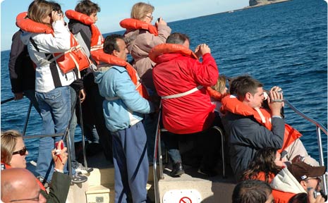 Patagonia whale watching