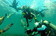 Bucear en Puerto Madryn
