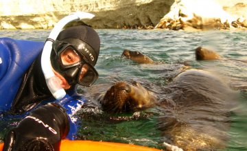 SCUBA Diving and Snorkeling with Sea Lions at Puerto Madryn