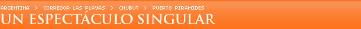 Un espect�culo singular