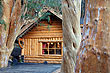 Excursi�n lacustre al bosque de arrayanes