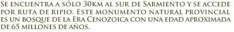 Bosque Petrificado Sarmiento