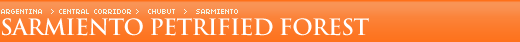  Jos� Ormaechea Petrified Wood