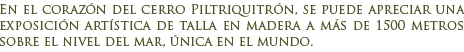 El Bosque Tallado de El Bolsón