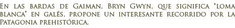 Parque Paleontol�gico Bryn Gwyn
