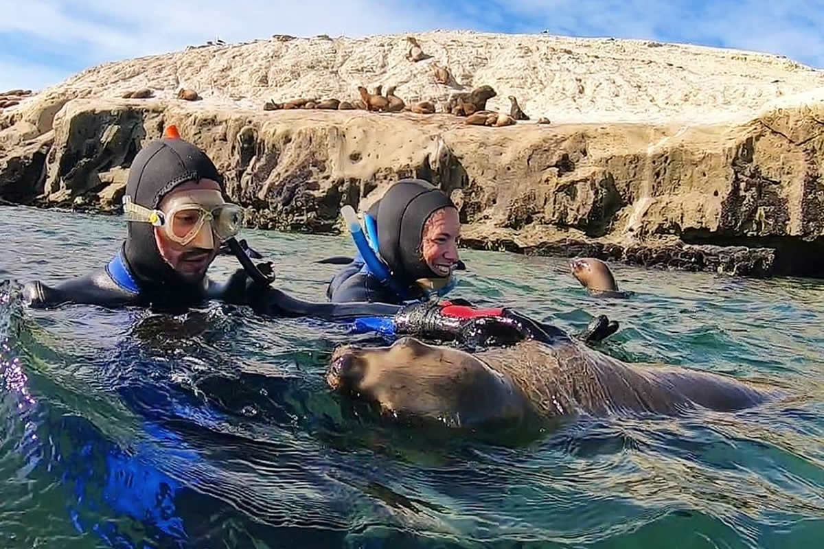 Scuba Diving at Puerto Madryn
