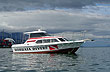 El insondable mar austral