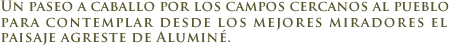Cabalgata por Alumin�