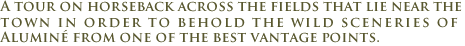 Horseback tour around Alumin�