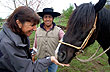 Horseback Riding on Mount Pumol