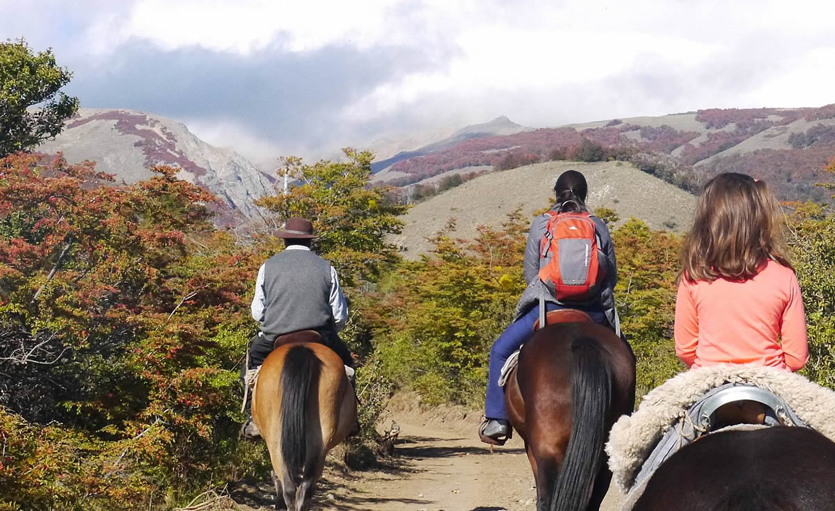 An ideal environment to enjoy horseback riding